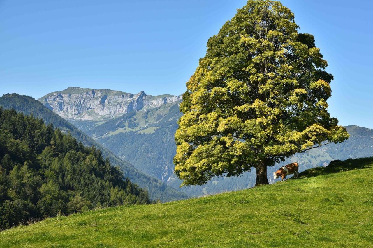 Gwercherwirt Brandenberg Экстерьер фото